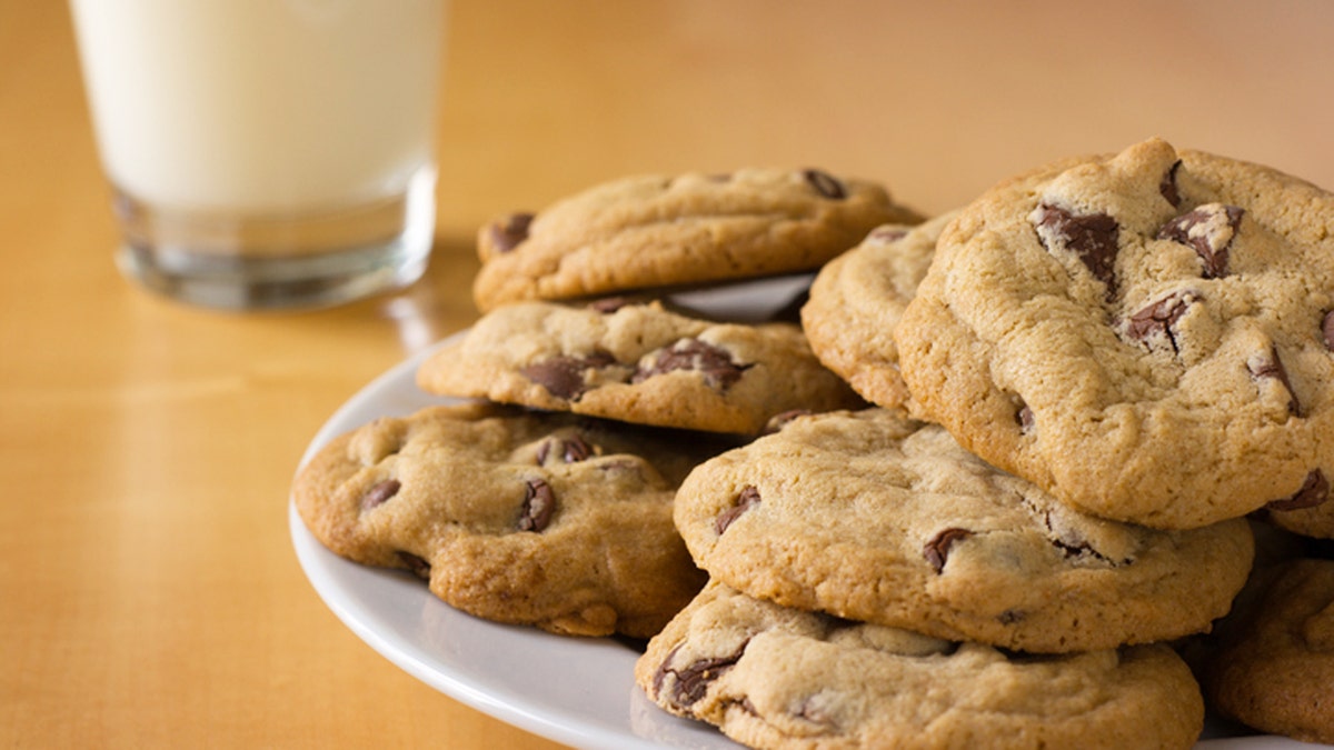 Plate of fresh, homemade chocolate chip cookies stack, next to a glass of milk on a table. The baked, gourmet dark chocolate treat is a favorite dessert or after-school snack food and drink. The sweet indulgence contributes to overeating fats and sugars, an unhealthy diet. Tabletop close-up with copy space.