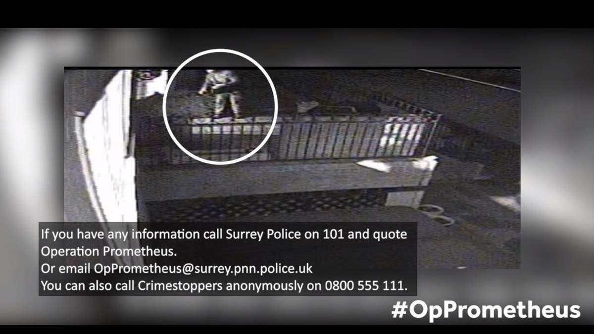 clip from cctv night watch robber