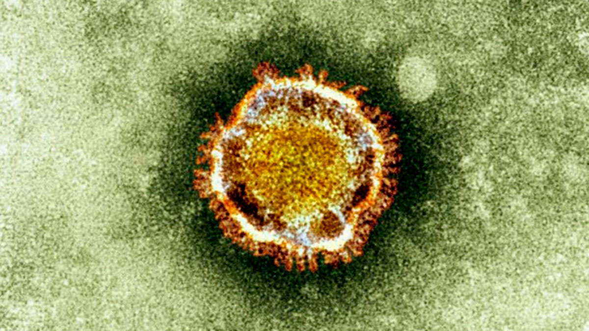 Britain Coronavirus