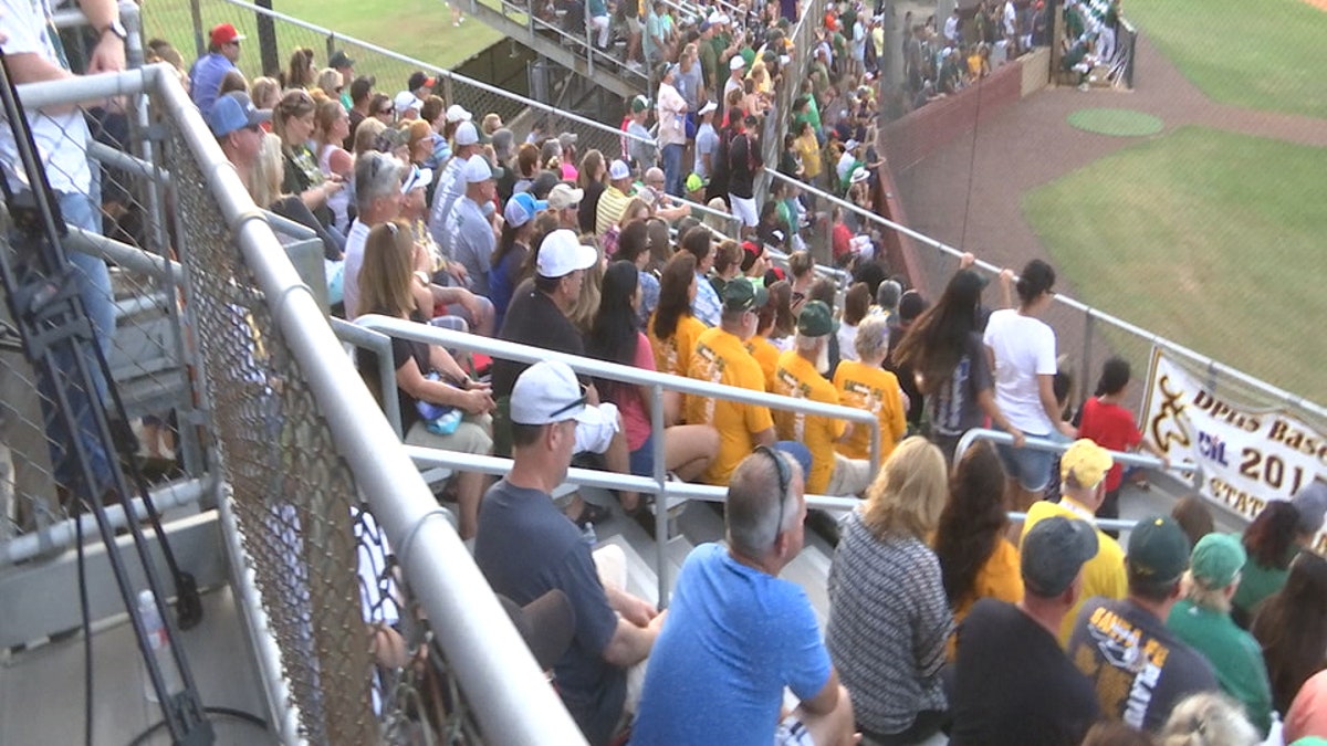 Baseball crowd