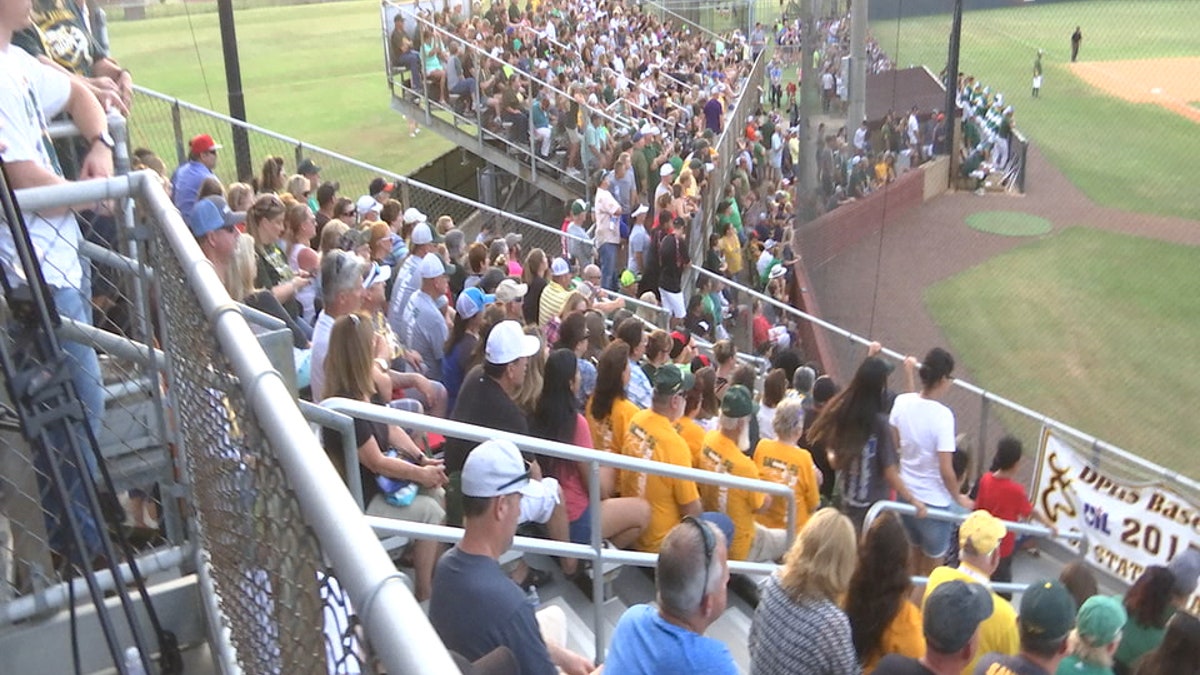 Baseball crowd