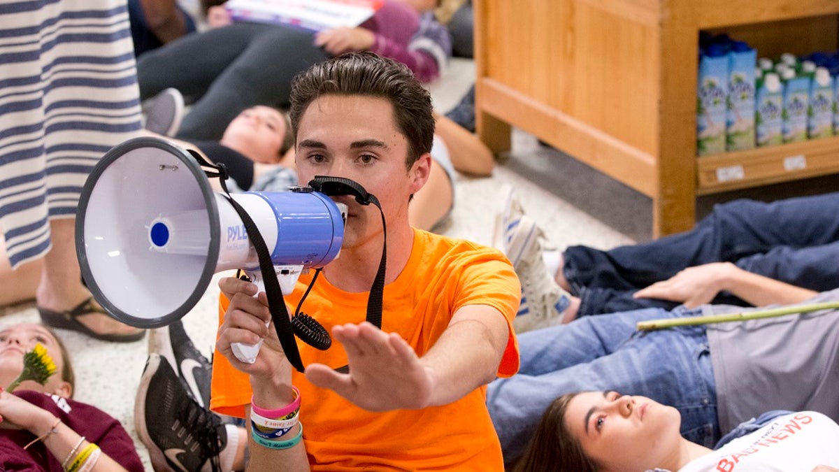 David Hogg demonstration