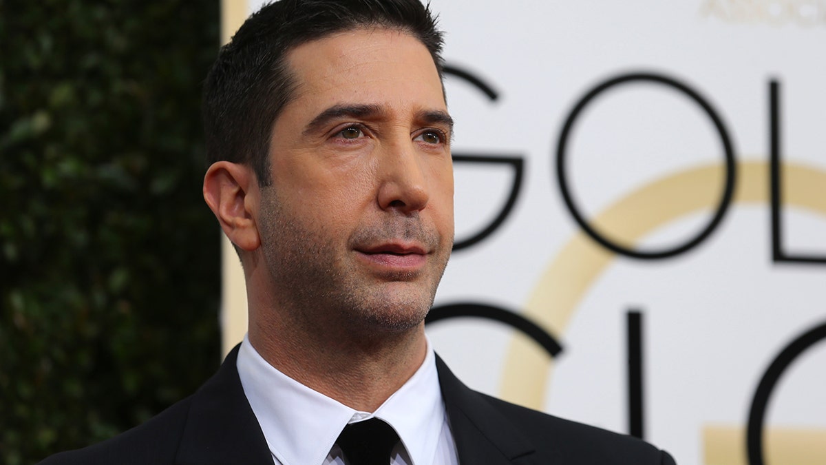 Actor David Schwimmer arrives at the 74th Annual Golden Globe Awards in Beverly Hills, California, U.S., January 8, 2017.