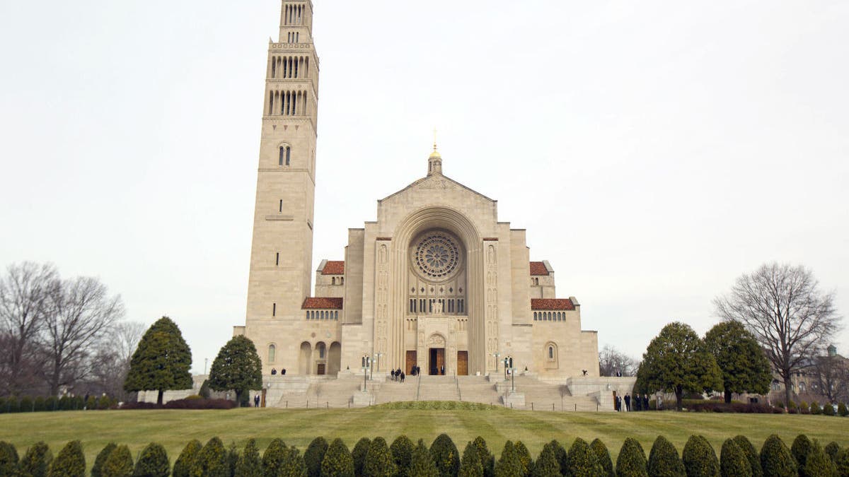 dc basilica 511