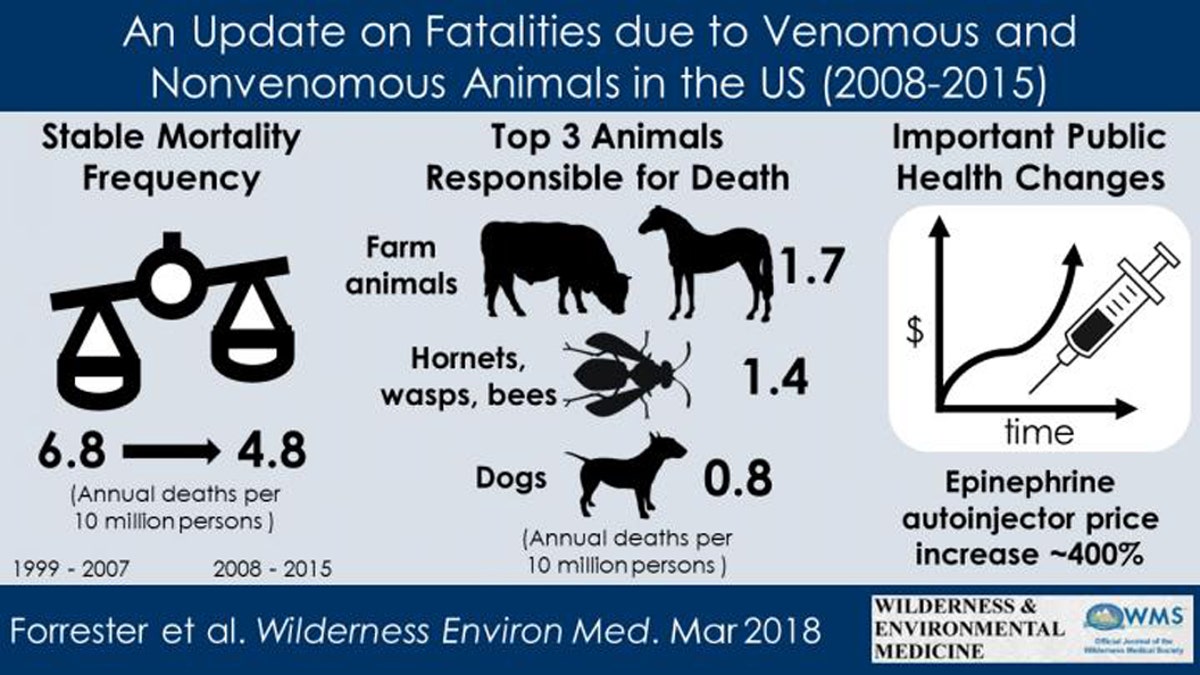 deadliest animals