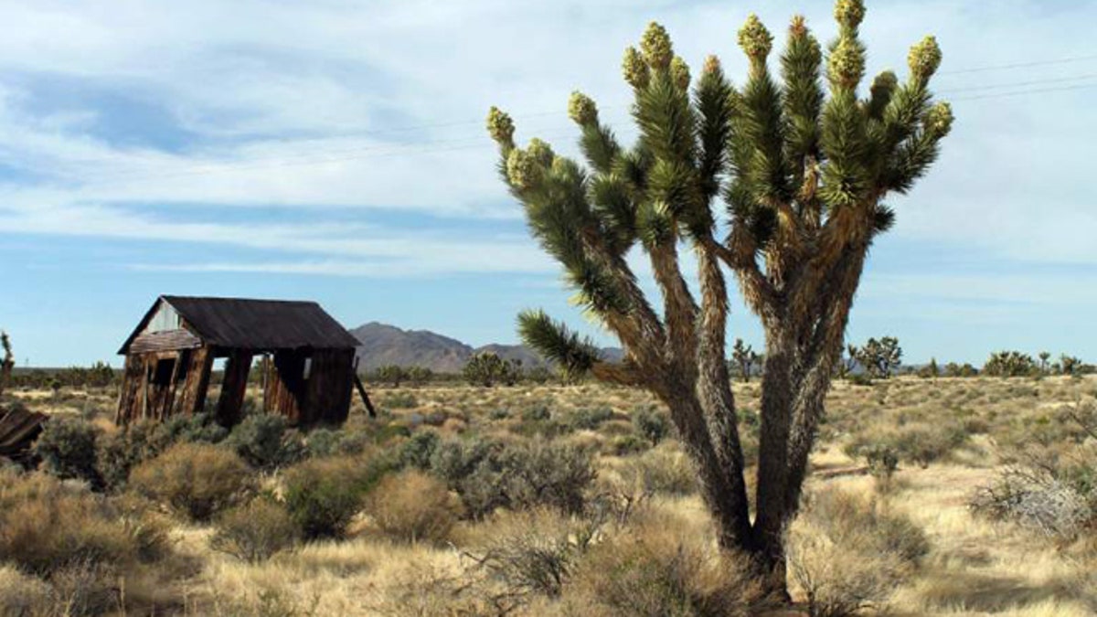 AP desert photo