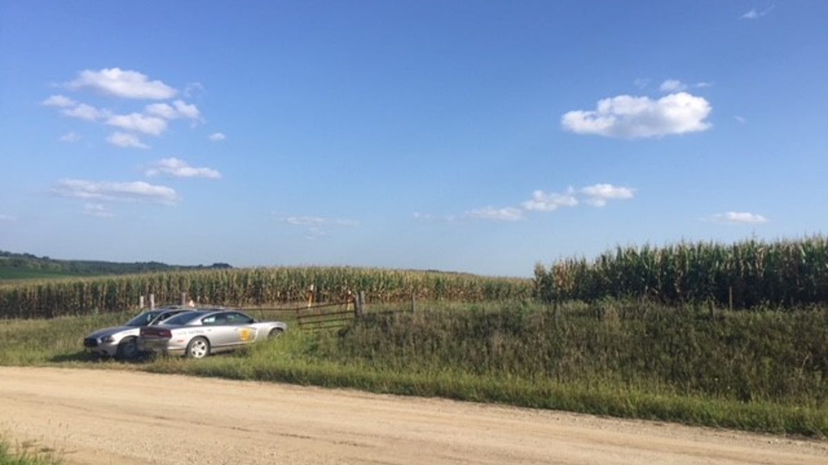 corn field iowa tibbetts