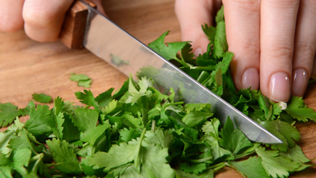 Chopped cilantro on wooden board close-up