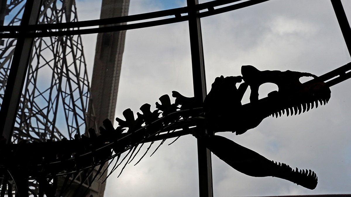 dinosaur2_Reuters