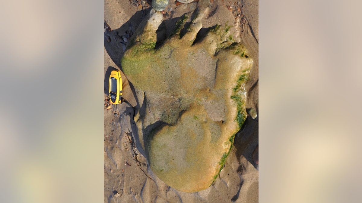 DinosaurFootprintScotland2