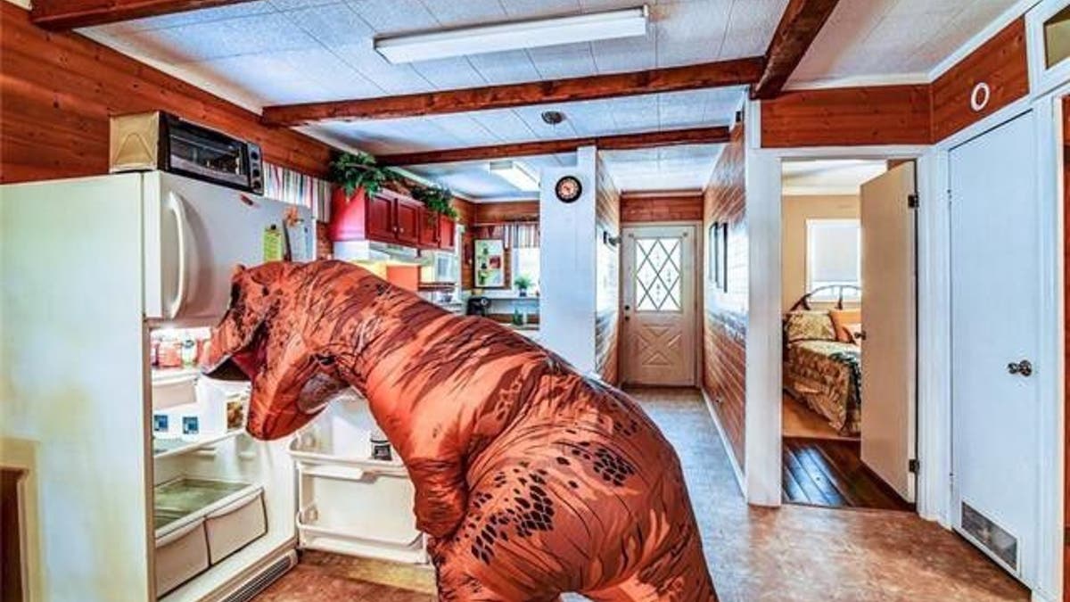 dinosaur house realtor.com