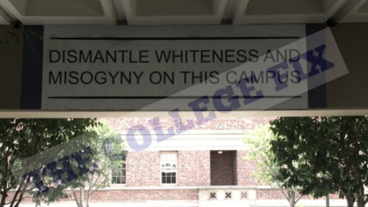 dismantle whiteness usc