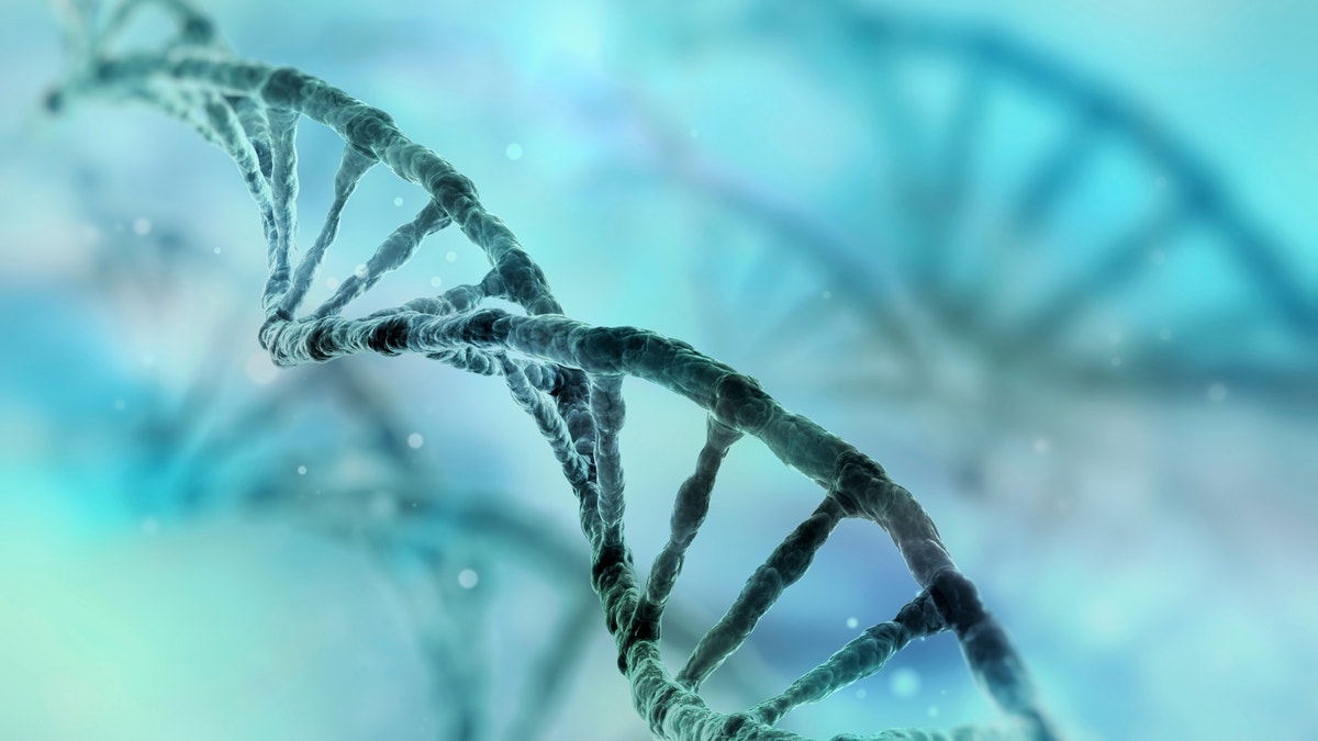 DNA strand genetics gene istock large