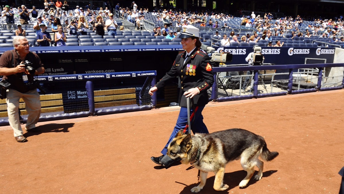 朽ちて海に沈むザクと女性兵士と犬 A Marine and her dog, the hero who inspired 'Megan Leavey' movie