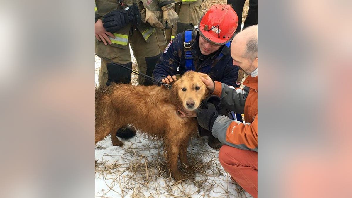 Dog Sinkhole Rescue