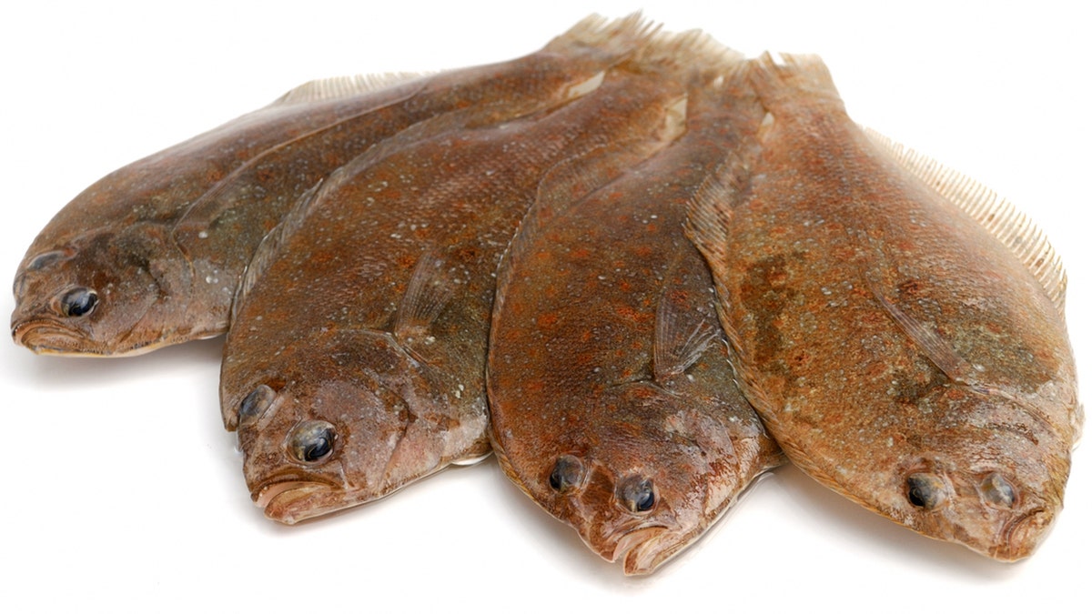 Dover sole istock