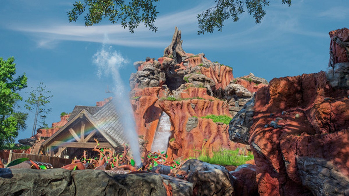 Disney's Splash Mountain located in Magic Kingdom in Walt Disney World in Orlando.