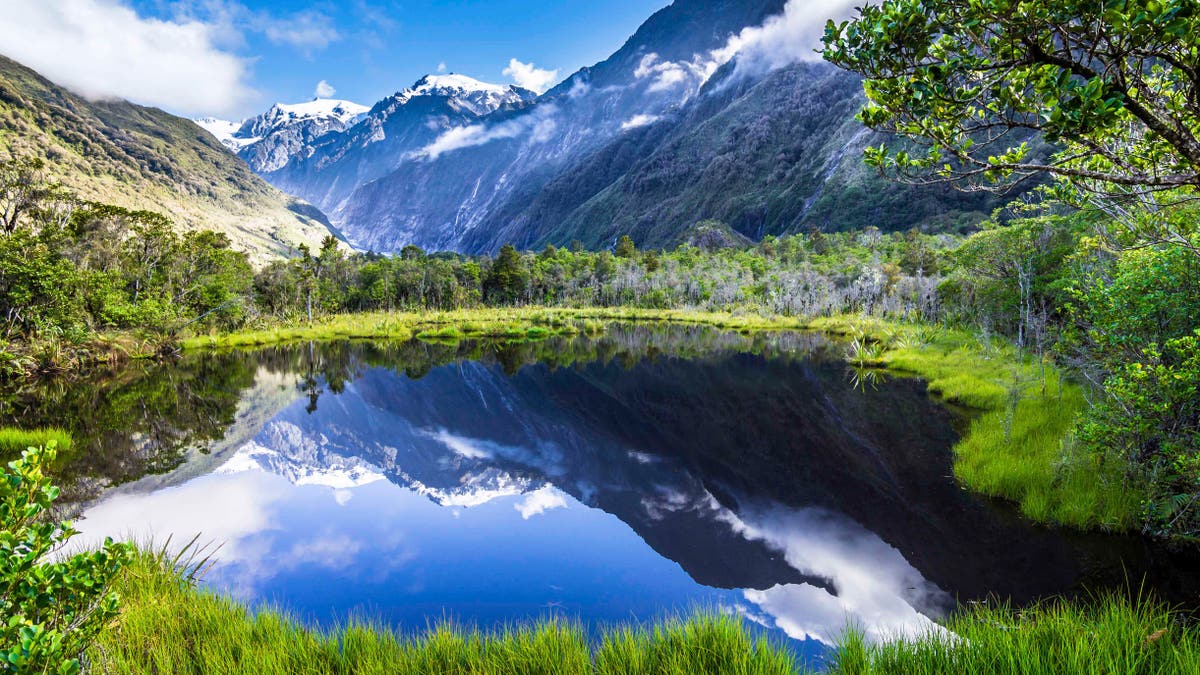 The quiet lake