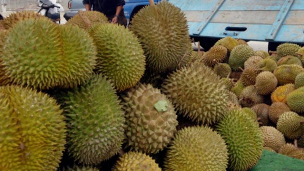 Durian caused hundreds of people to evacuate from the University of Canberra's library on Thursday, the school said.