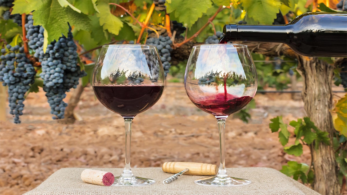 e2541e8a-wine istock