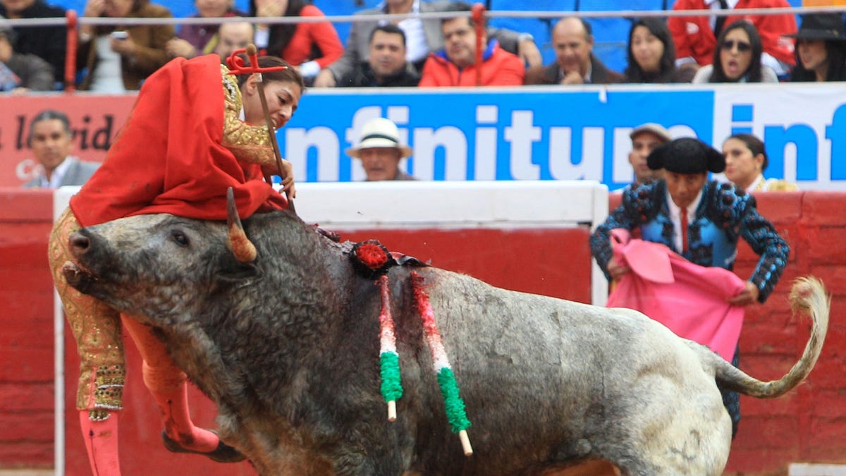 e804b0d0-Mexico Bullfighter Gored