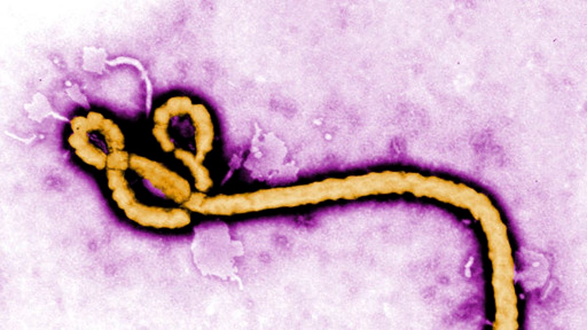 ebola congo