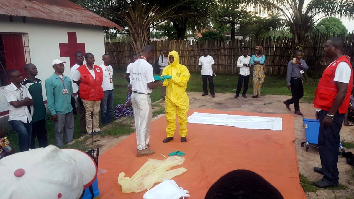 Ebola picture