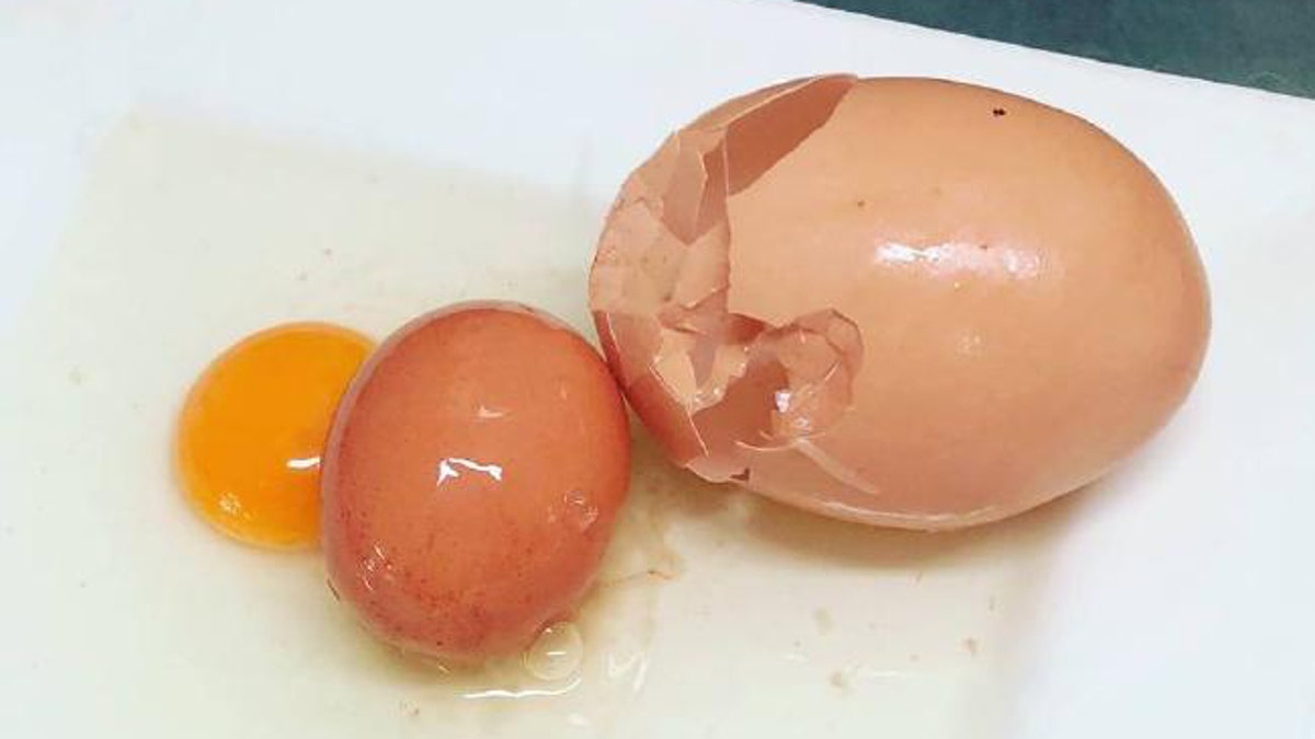 Farmer finds remarkable 'egg-within-an-egg' | Fox News