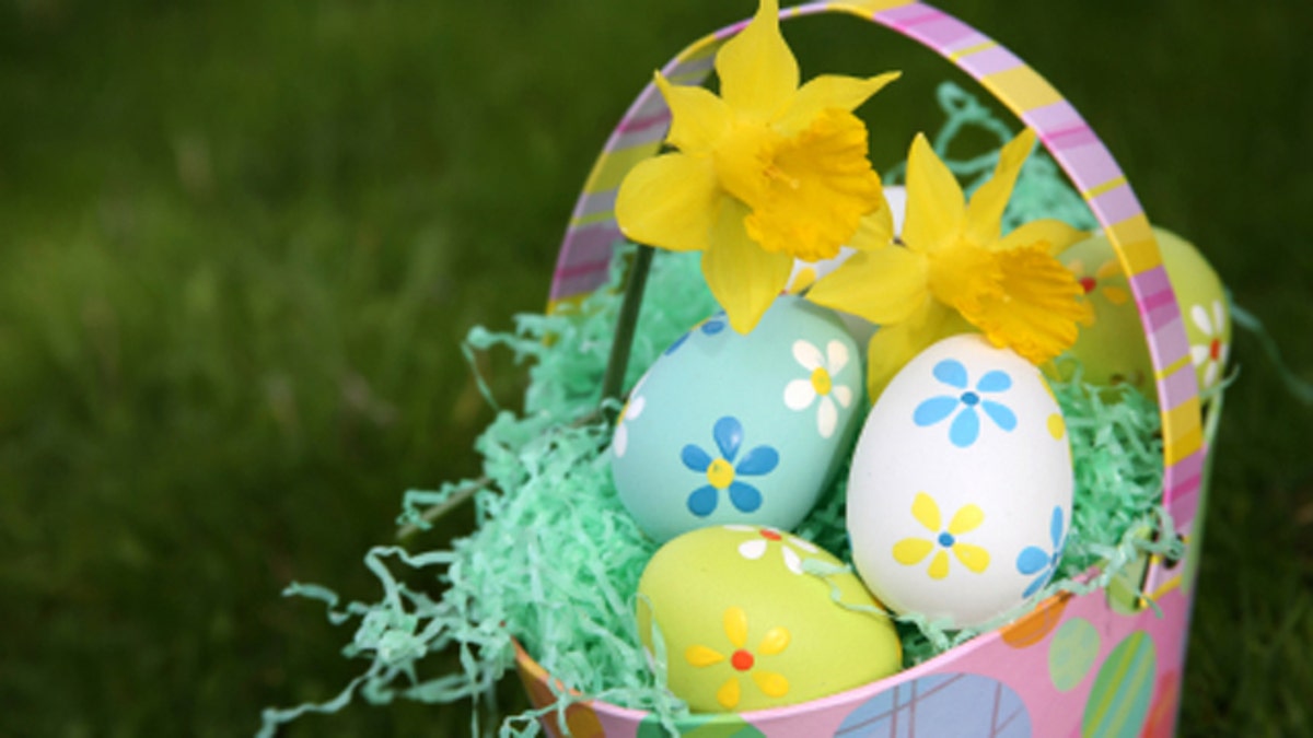 Colorful Easter Eggs in Grass with Basket with Daffodils