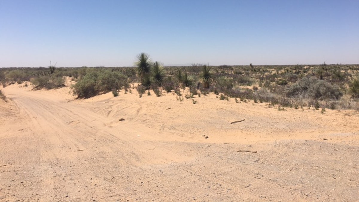 Border desert