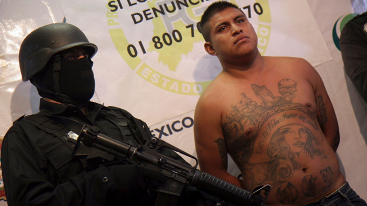 0fdb45ac-Mexico Drug War