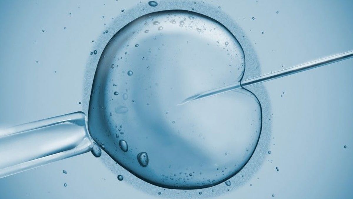 embryopic