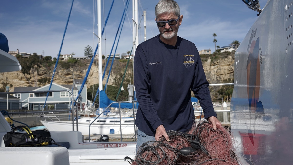 entangled whale