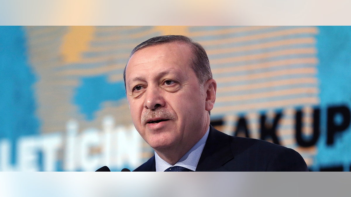 erdogan-crop