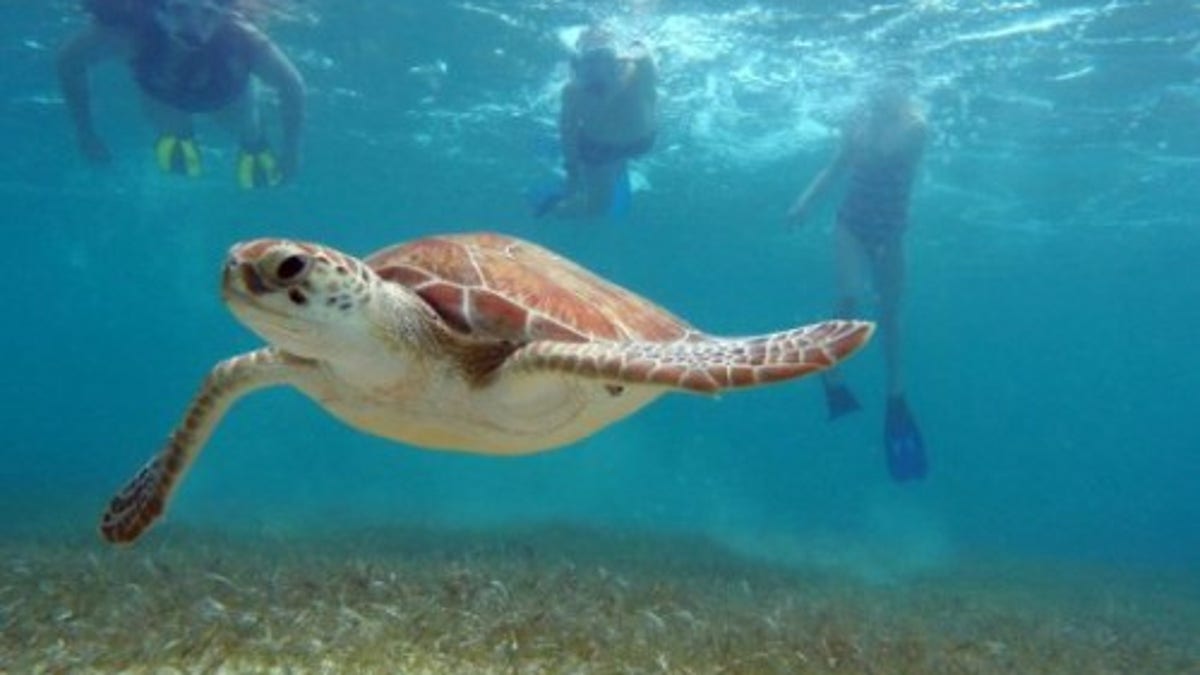 7 Atraksi yang Wajib Dikunjungi di Riviera Maya Meksiko