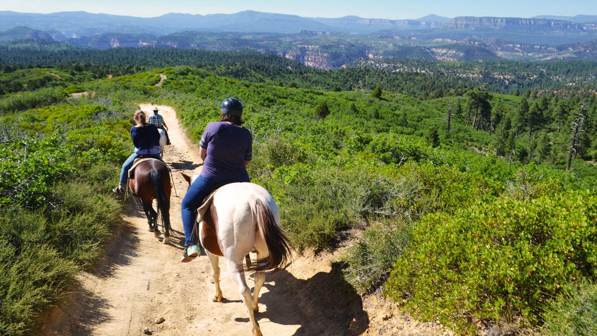 horseback riding