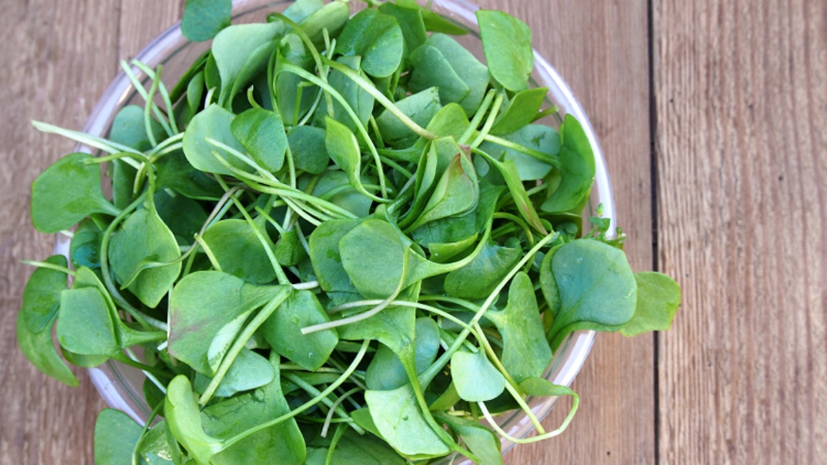 Watercress in bowl on wooden background