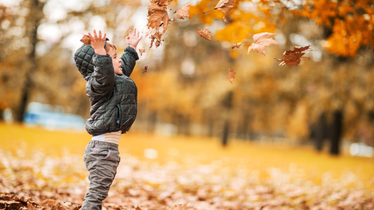 Side view of playful little boy throwing autumn leaves outdoors.