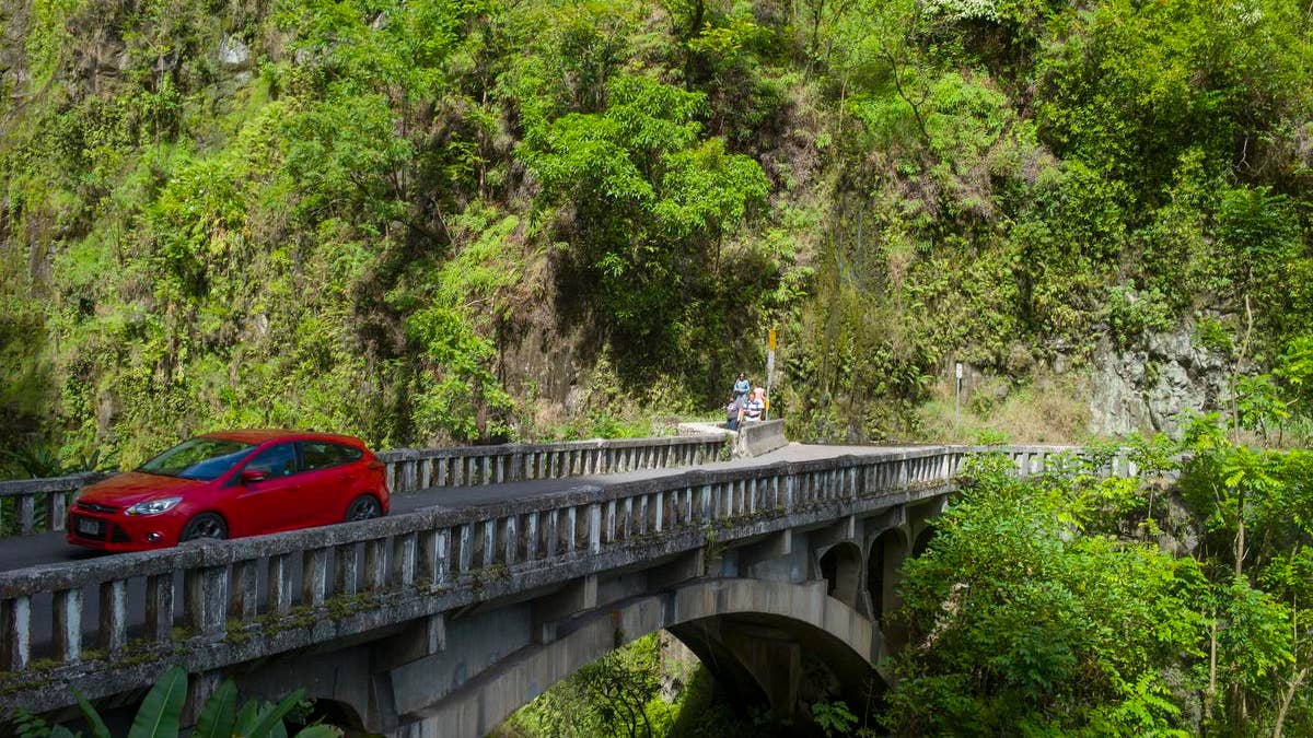 Travel-Trip-Road to Hana