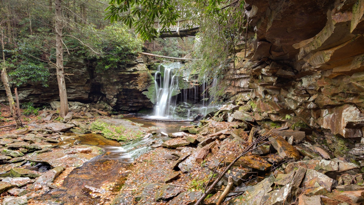 Elakala Falls - Canaan Valley, West Virginia