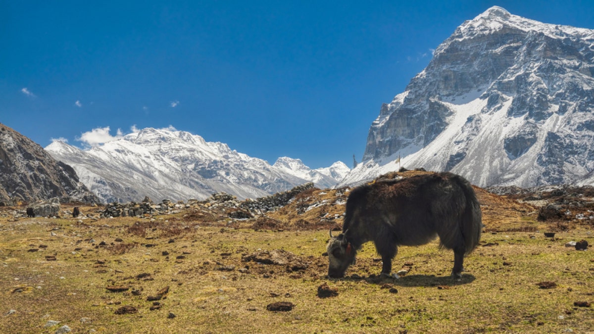 Kangchenjunga