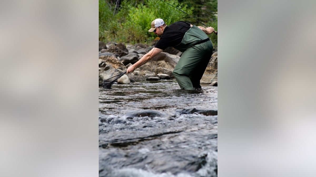 yellowstone fish