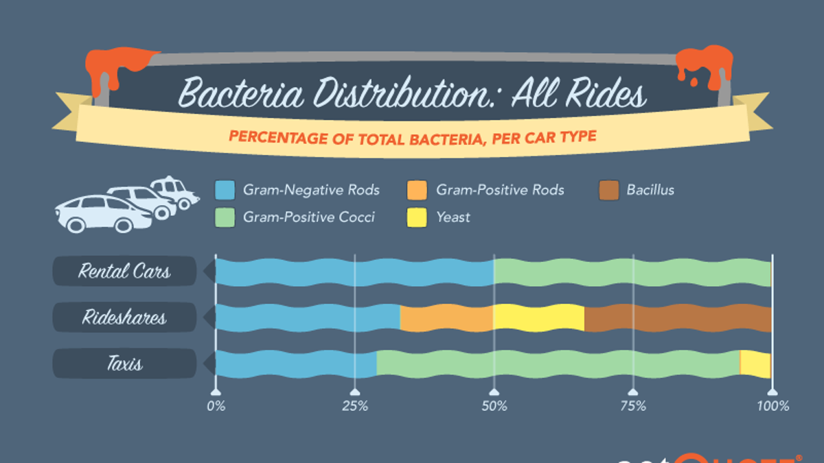 bacteria graph