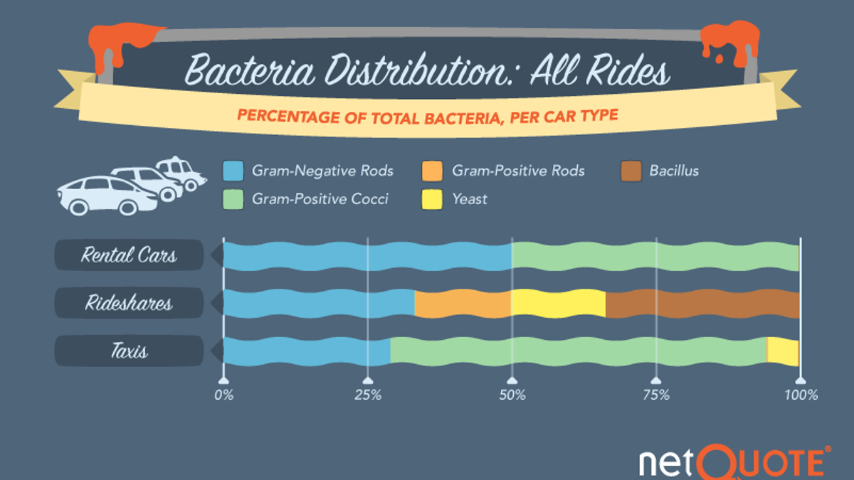 bacteria graph