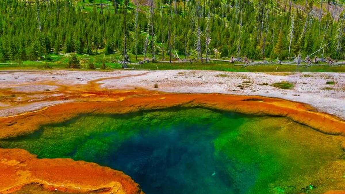 yellowstone volcano