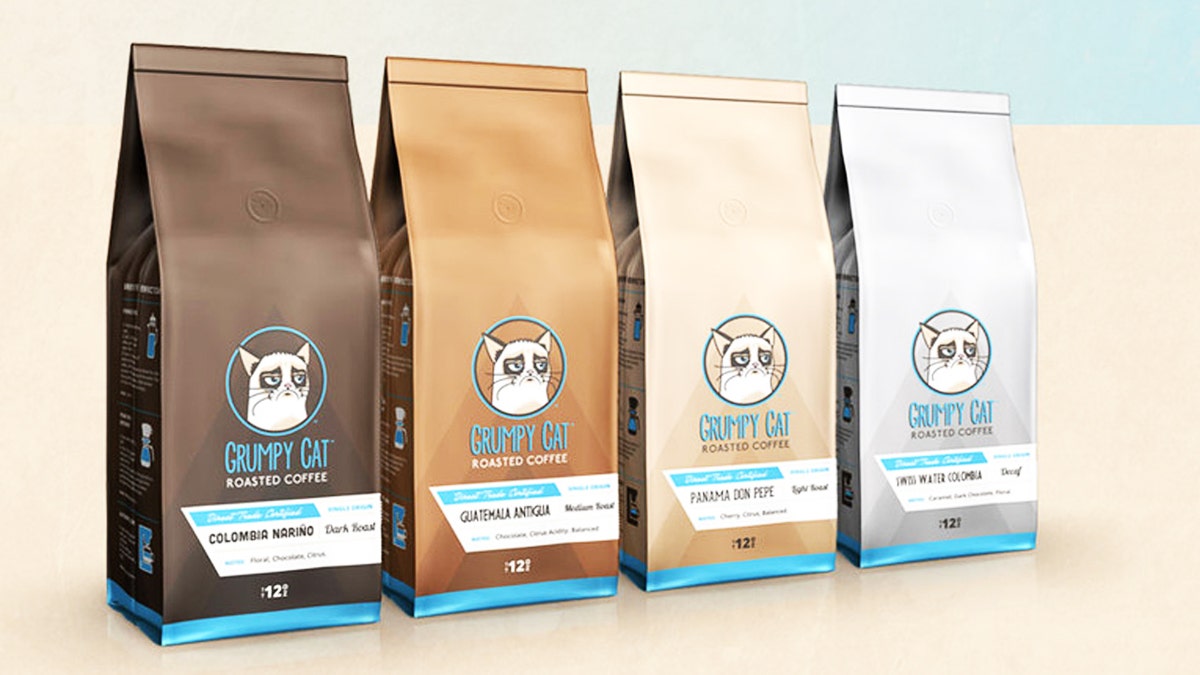Grumpy Cat files copyright infringement lawsuit over coffee beans Fox