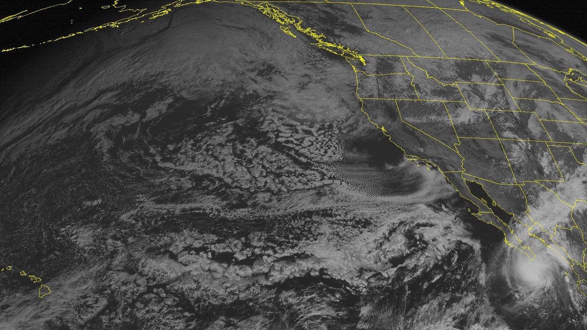 f2f15682-NOAA WEST