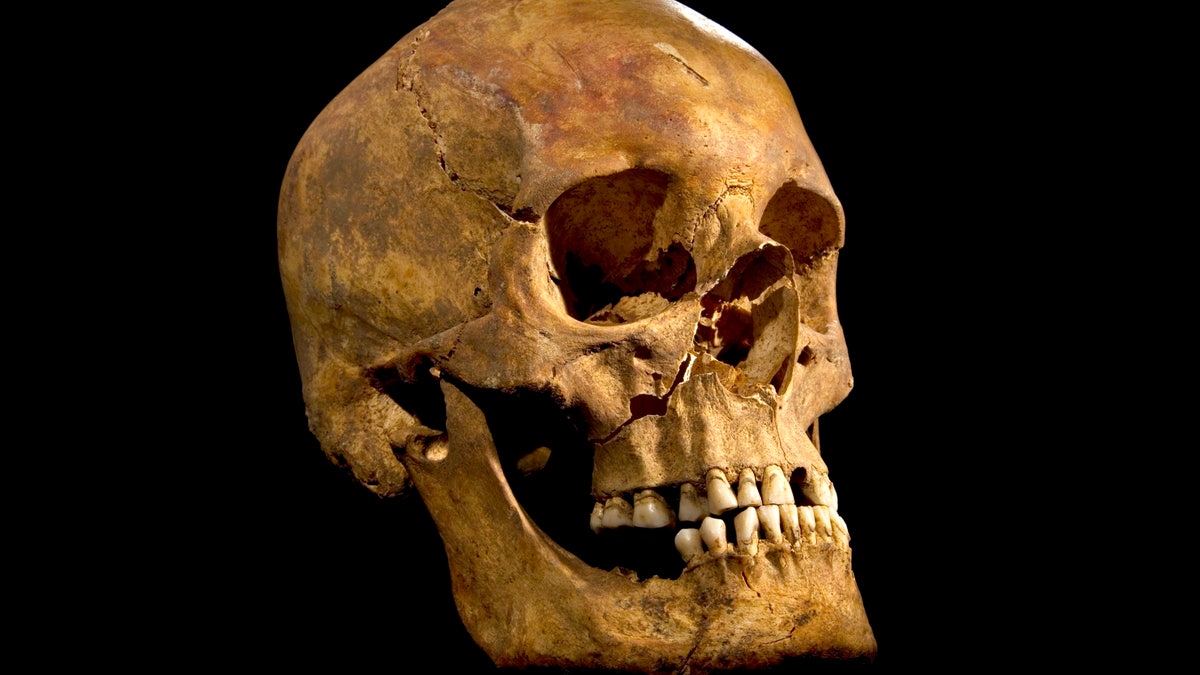 111665cb-Britain Richard III