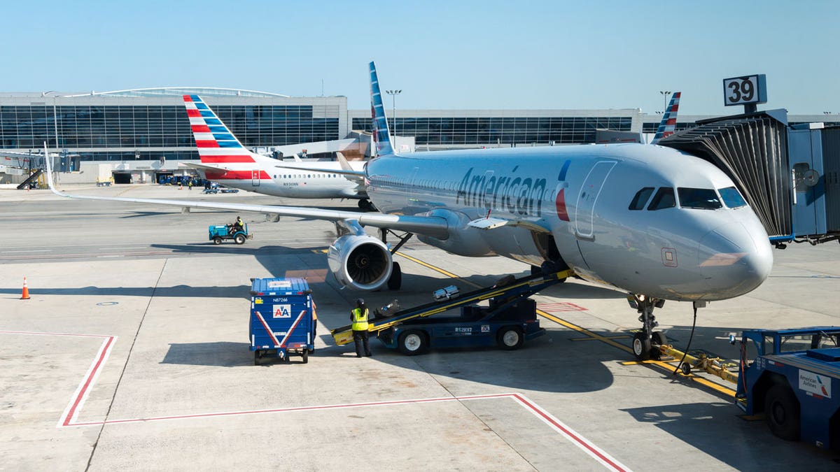 american airlines baggage istock