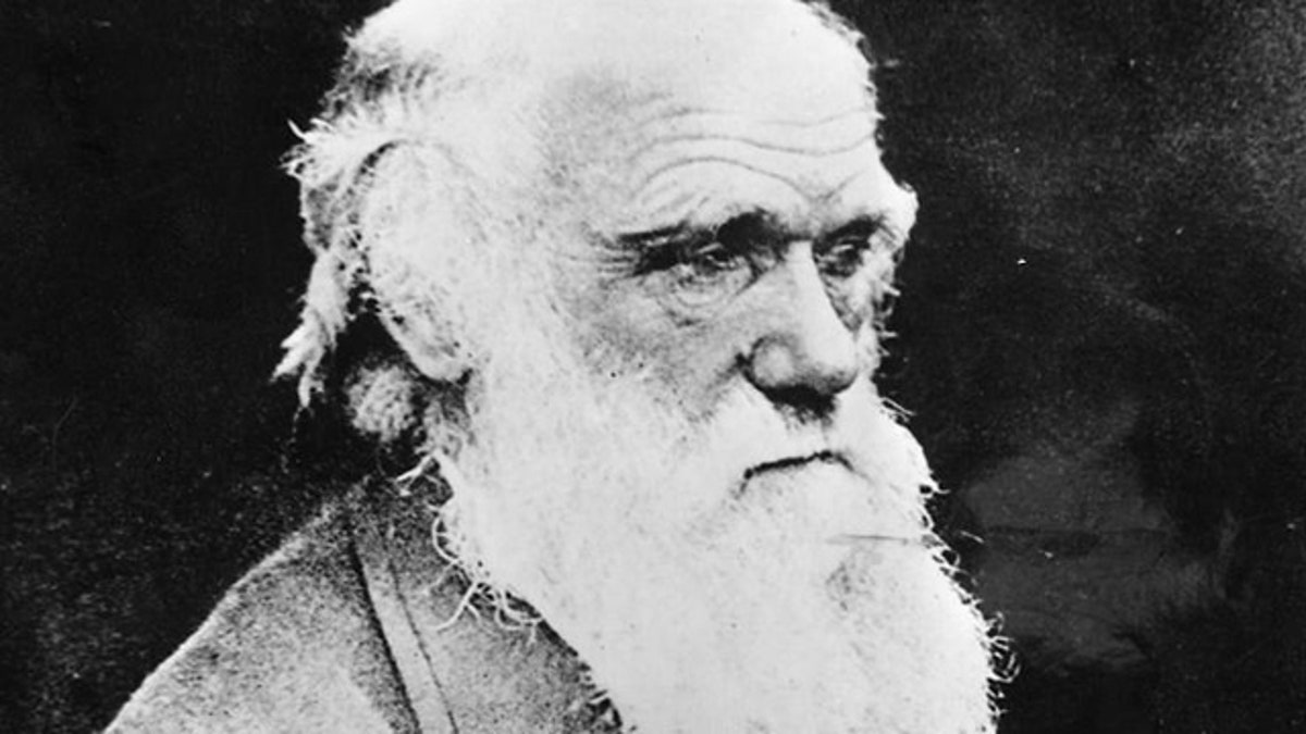 Portrait of British scientist Charles Robert Darwin, founder of the theory for the evolution of life. Born February 12, 1809 and died April 19, 1882. Photo was made shortly before his death. (AP Photo/Str)